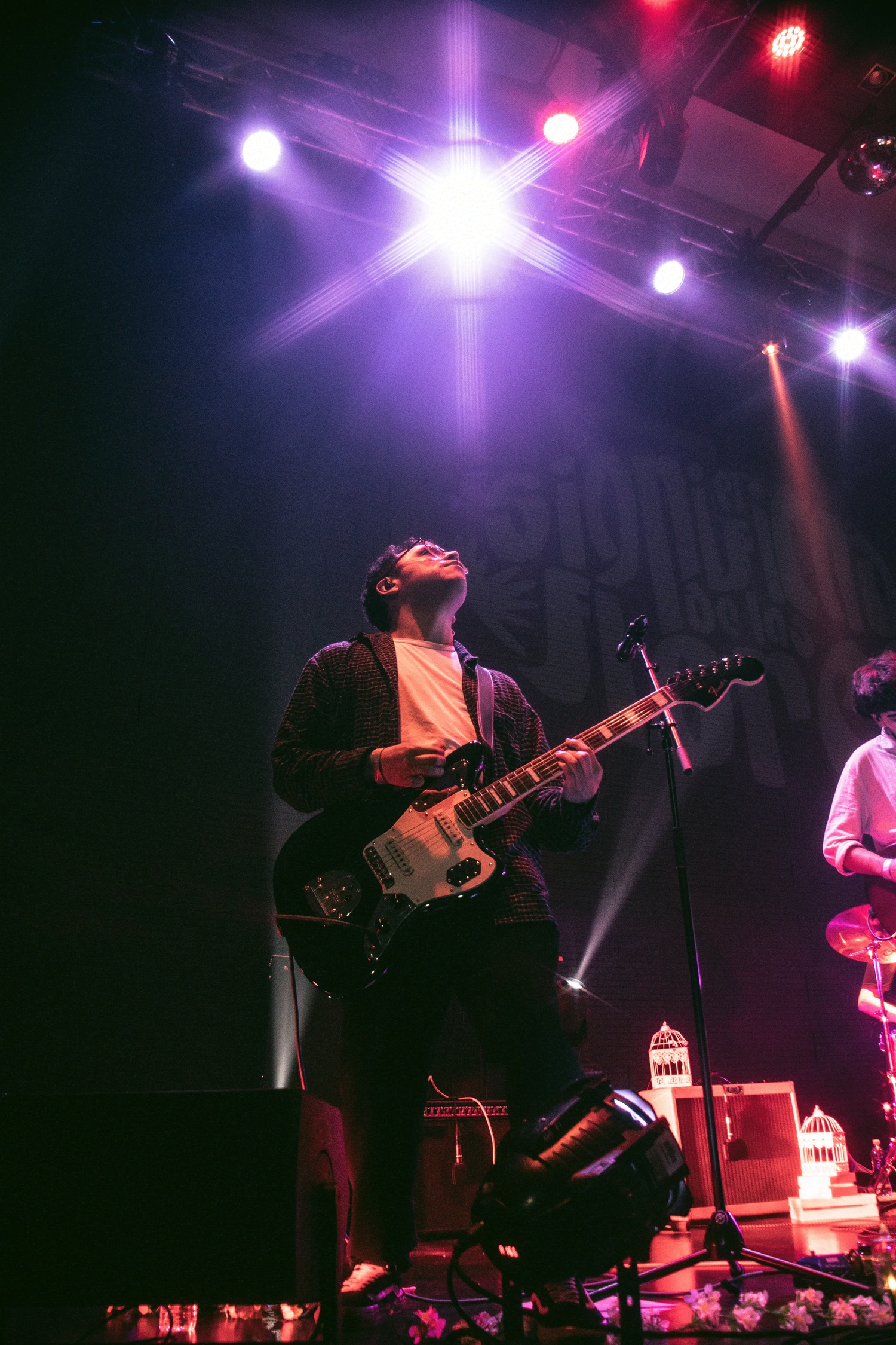 El Significado de las Flores - Ciclo Nuevo Rock